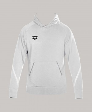Φούτερ Arena Team Line Hoody ανδρικα γκρι | 37743109
