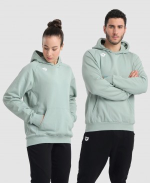 Φούτερ Arena Team Κουκουλοφόρος Panel γυναικεια γκρι | 6244743